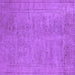 Square Machine Washable Oriental Purple Industrial Area Rugs, wshurb1909pur
