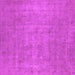Square Machine Washable Oriental Pink Industrial Rug, wshurb1913pnk