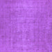 Square Oriental Purple Industrial Rug, urb1913pur