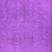 Square Oriental Purple Industrial Rug, urb1915pur