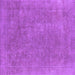 Square Oriental Purple Industrial Rug, urb1940pur