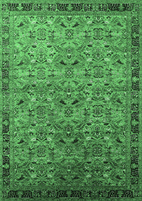 Oriental Emerald Green Industrial Rug, urb1953emgrn