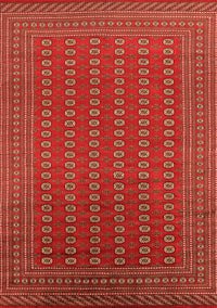 Oriental Orange Industrial Rug, urb1983org