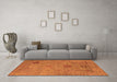 Machine Washable Oriental Orange Industrial Area Rugs in a Living Room, wshurb2004org