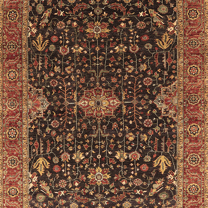Oriental Brown Traditional Rug, urb2014brn