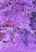 Machine Washable Oriental Purple Industrial Area Rugs, wshurb2041pur