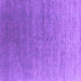 Square Oriental Purple Industrial Rug, urb2050pur