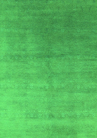 Oriental Green Industrial Rug, urb2052grn