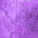 Square Machine Washable Oriental Purple Industrial Area Rugs, wshurb2063pur