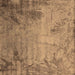 Square Oriental Brown Industrial Rug, urb2069brn