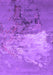 Machine Washable Oriental Purple Industrial Area Rugs, wshurb2070pur