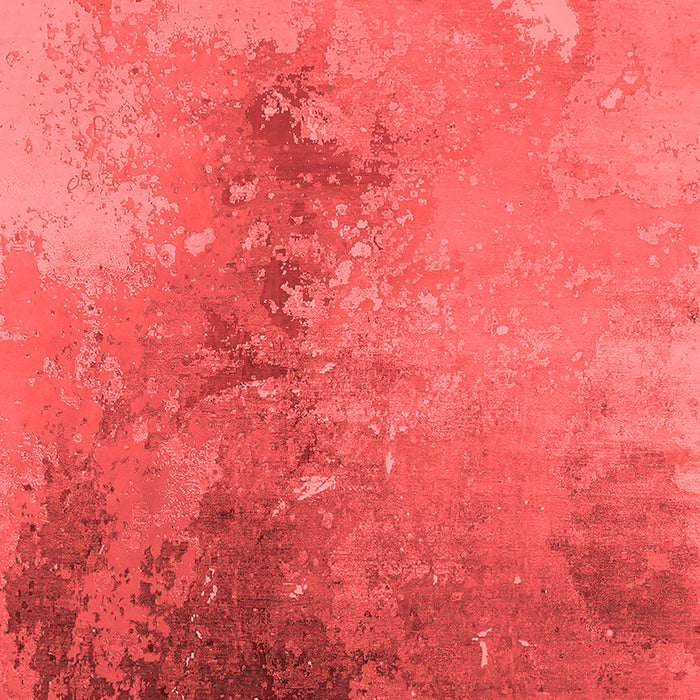 Oriental Red Industrial Area Rugs