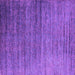 Square Machine Washable Oriental Purple Industrial Area Rugs, wshurb2078pur