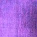 Square Machine Washable Oriental Purple Industrial Area Rugs, wshurb2111pur