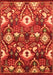 Oriental Orange Industrial Rug, urb2115org