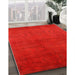 Mid-Century Modern Red Oriental Rug in Family Room, urb2117