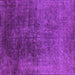 Square Machine Washable Oriental Purple Industrial Area Rugs, wshurb2127pur