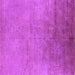 Square Machine Washable Oriental Purple Industrial Area Rugs, wshurb2153pur