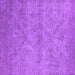 Square Oriental Purple Industrial Rug, urb2165pur