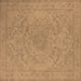 Square Oriental Brown Industrial Rug, urb2166brn