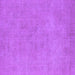 Square Machine Washable Oriental Purple Industrial Area Rugs, wshurb2172pur