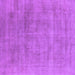 Square Machine Washable Oriental Purple Industrial Area Rugs, wshurb2179pur