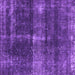 Square Machine Washable Oriental Purple Industrial Area Rugs, wshurb2201pur