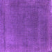 Square Oriental Purple Industrial Rug, urb2203pur