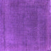 Square Machine Washable Oriental Purple Industrial Area Rugs, wshurb2203pur