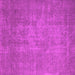 Square Machine Washable Oriental Pink Industrial Rug, wshurb2205pnk