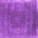 Square Oriental Purple Industrial Rug, urb2219pur