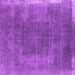 Square Machine Washable Oriental Purple Industrial Area Rugs, wshurb2219pur