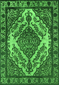 Oriental Green Industrial Rug, urb2223grn