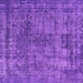 Square Oriental Purple Industrial Rug, urb2243pur