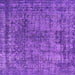 Square Machine Washable Oriental Purple Industrial Area Rugs, wshurb2243pur