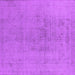 Square Oriental Purple Industrial Rug, urb2244pur