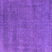 Square Oriental Purple Industrial Rug, urb2253pur