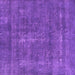 Square Oriental Purple Industrial Rug, urb2261pur