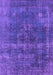 Persian Purple Bohemian Rug, urb2263pur