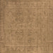 Square Machine Washable Oriental Brown Industrial Rug, wshurb2264brn