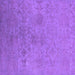 Square Machine Washable Persian Purple Bohemian Area Rugs, wshurb2281pur
