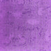 Square Machine Washable Oriental Purple Industrial Area Rugs, wshurb2284pur