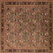 Square Oriental Brown Traditional Rug, urb2286brn