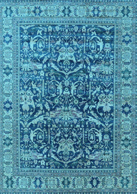 Oriental Light Blue Traditional Rug, urb2299lblu