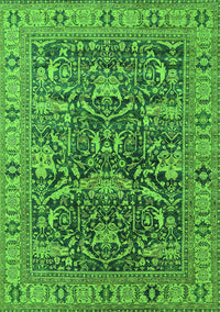 Oriental Green Traditional Rug, urb2299grn