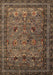 Oriental Brown Traditional Rug, urb2302brn