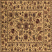 Square Machine Washable Oriental Brown Industrial Rug, wshurb2349brn