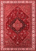 Persian Red Traditional Area Rugs