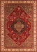 Persian Orange Traditional Rug, urb2371org