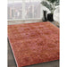 Mid-Century Modern Red Oriental Rug in Family Room, urb2410